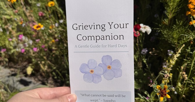 Grieving your Companion image